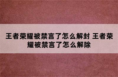 王者荣耀被禁言了怎么解封 王者荣耀被禁言了怎么解除